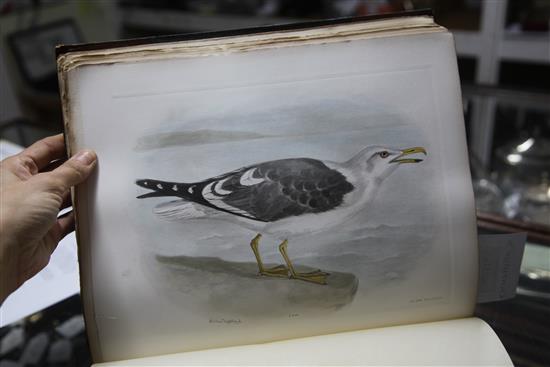 Stonham, Charles - The Birds of The British Islands, illustrated by Lilian Medland, 5 vols, quarto, with 2